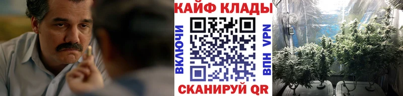 Купить закладку Галлюциногенные грибы  Меф мяу мяу  Альфа ПВП  Грайворон